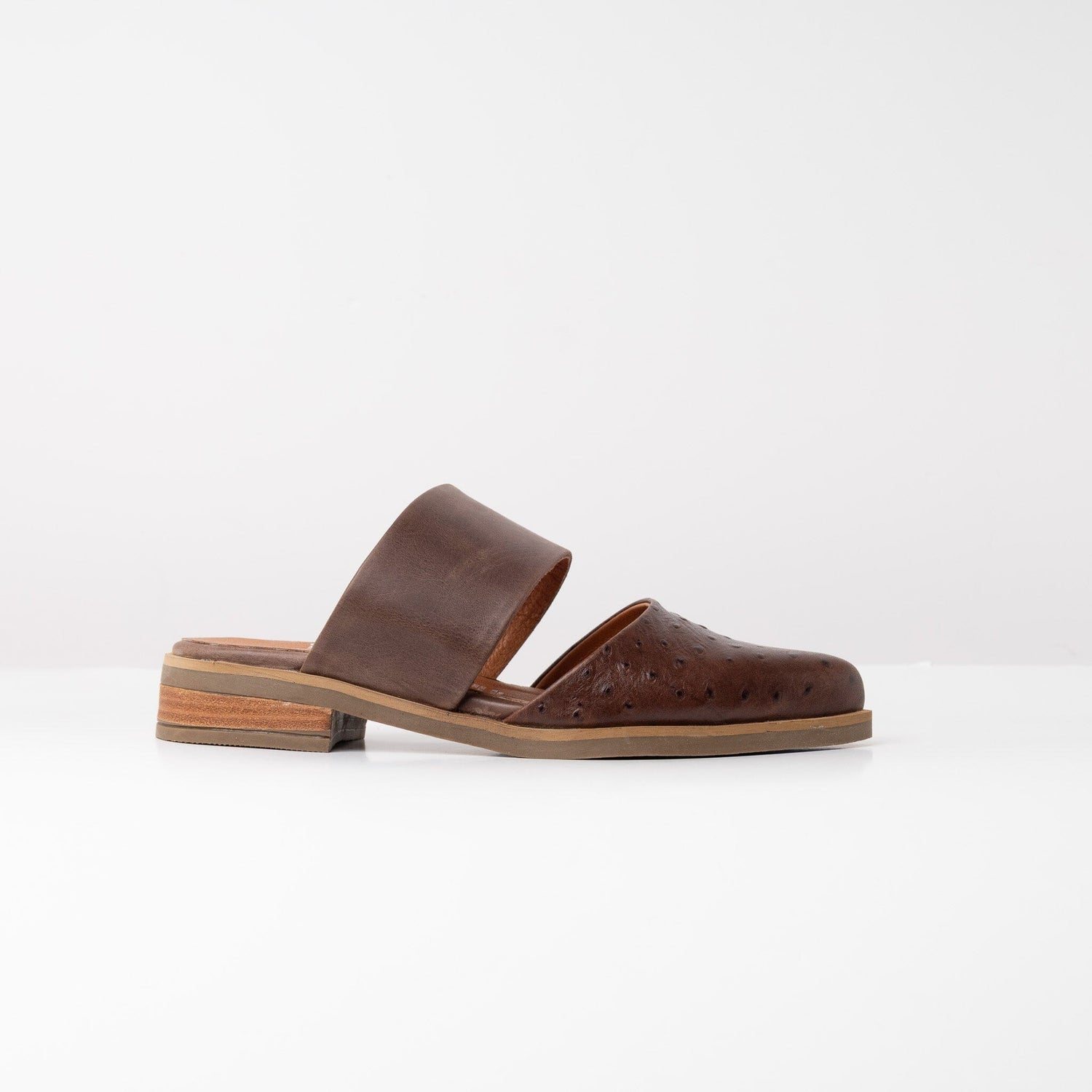 Babucha Mujer / Gaviota Café BABUCHAS Giani Dafirenze 