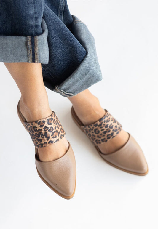 Babucha Mujer / Gaviota Café Print BABUCHAS Giani Dafirenze 