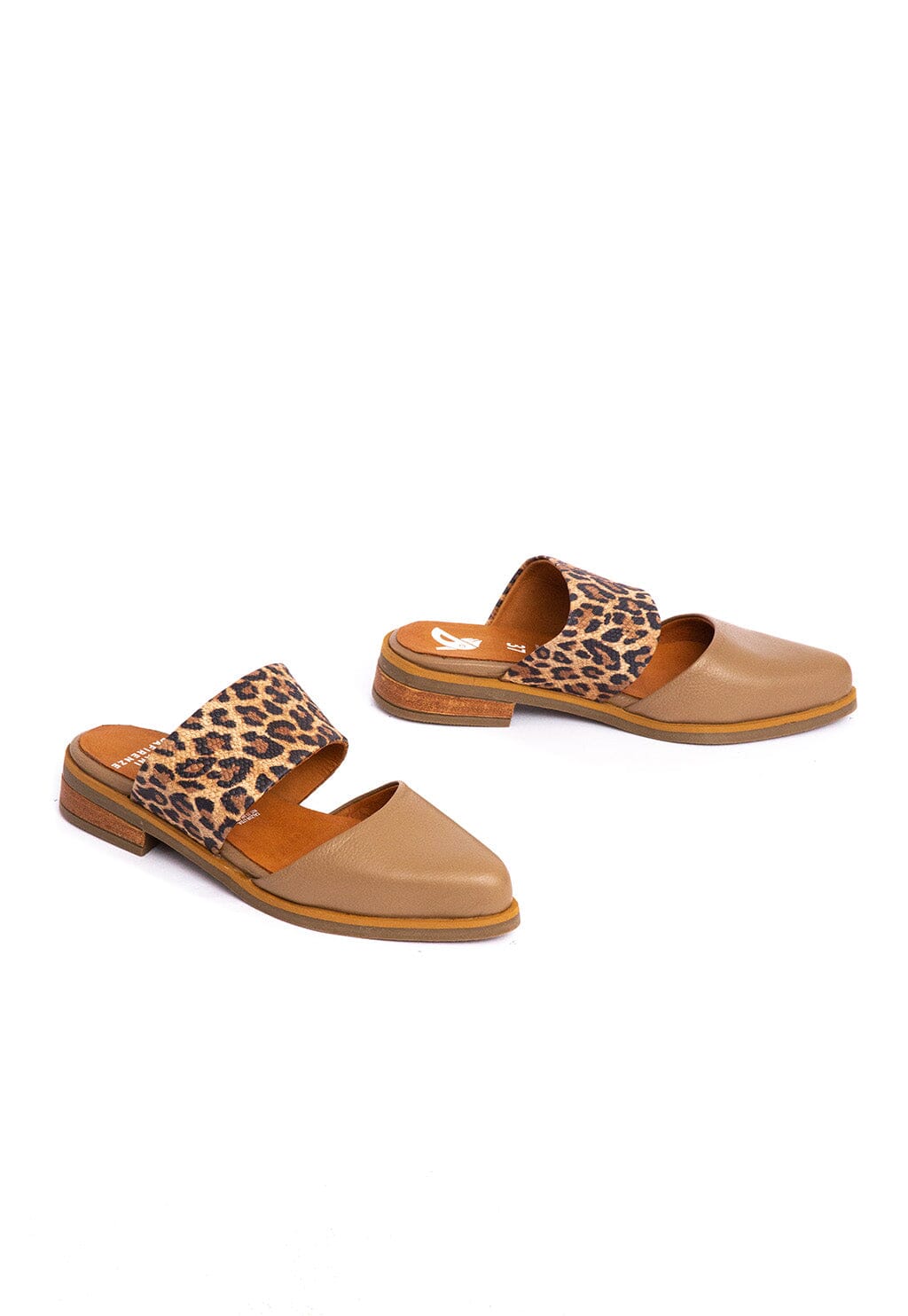 Babucha Mujer / Gaviota Café Print BABUCHAS Giani Dafirenze 