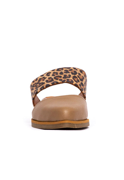 Babucha Mujer / Gaviota Café Print BABUCHAS Giani Dafirenze 