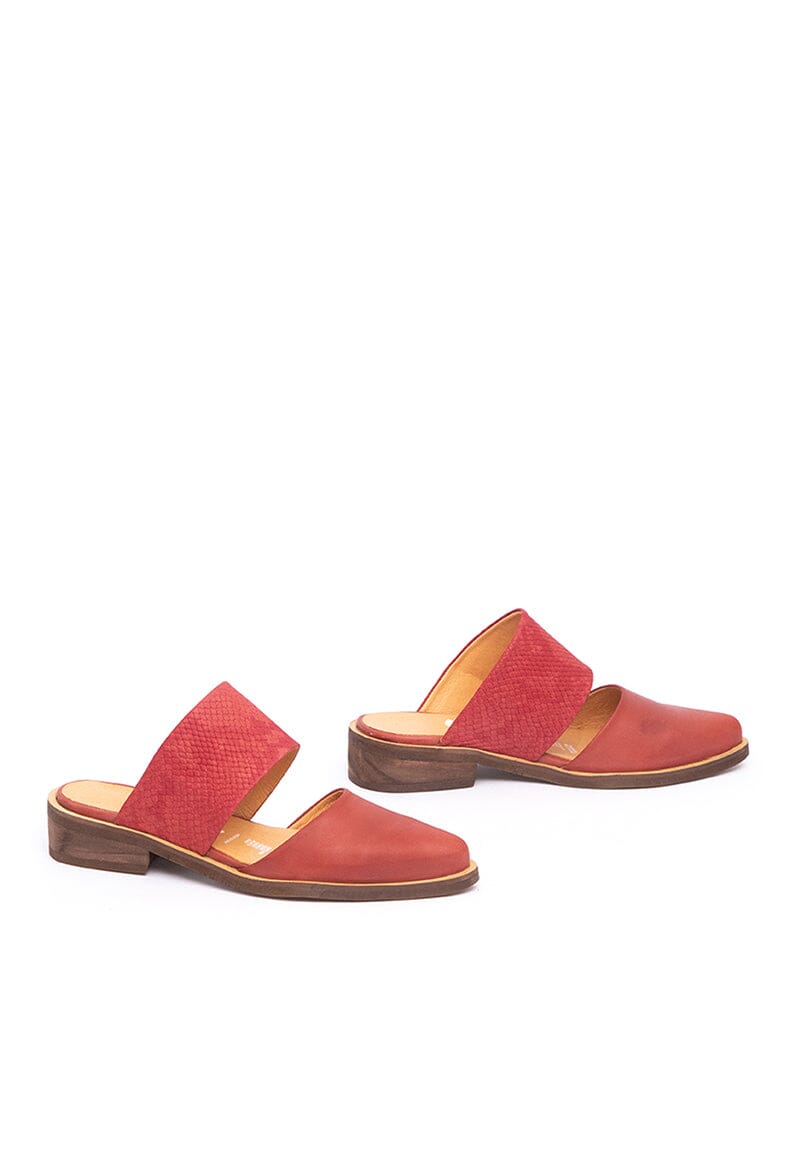 Babucha Mujer / Gaviota Coral BABUCHAS Giani Dafirenze 