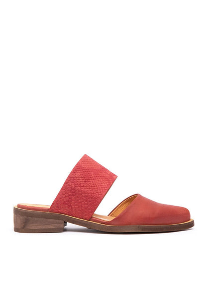 Babucha Mujer / Gaviota Coral BABUCHAS Giani Dafirenze 