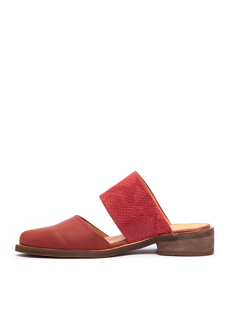 Babucha Mujer / Gaviota Coral BABUCHAS Giani Dafirenze 