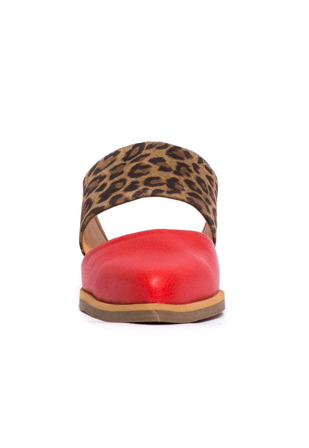 Babucha Mujer / Gaviota Leopardo Rojo BABUCHAS Giani Dafirenze 