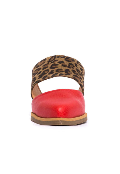 Babucha Mujer / Gaviota Leopardo Rojo BABUCHAS Giani Dafirenze 