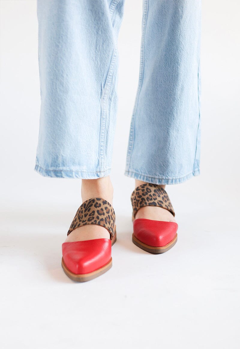Babucha Mujer / Gaviota Leopardo Rojo BABUCHAS Giani Dafirenze 