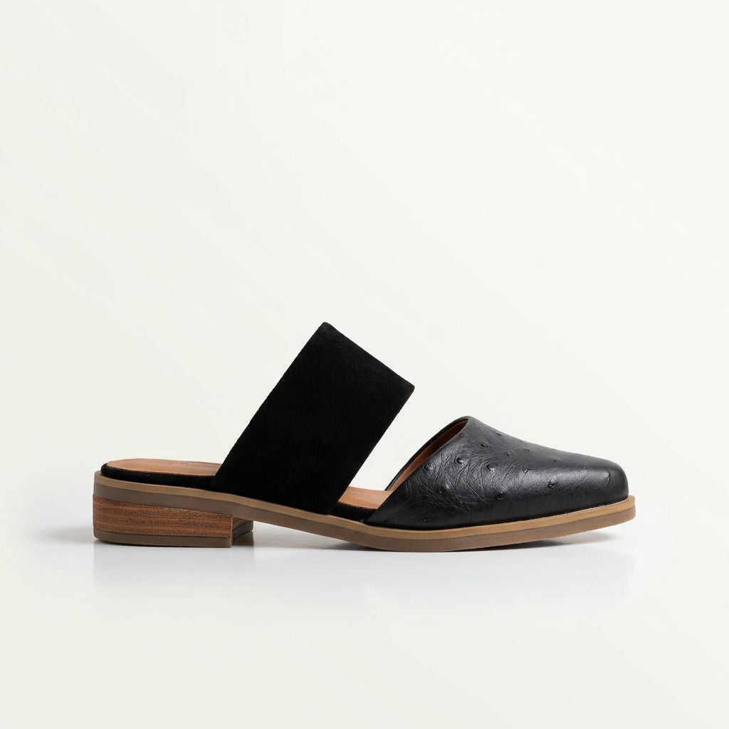 Babucha Mujer / Gaviota Negro BABUCHAS Giani Dafirenze 