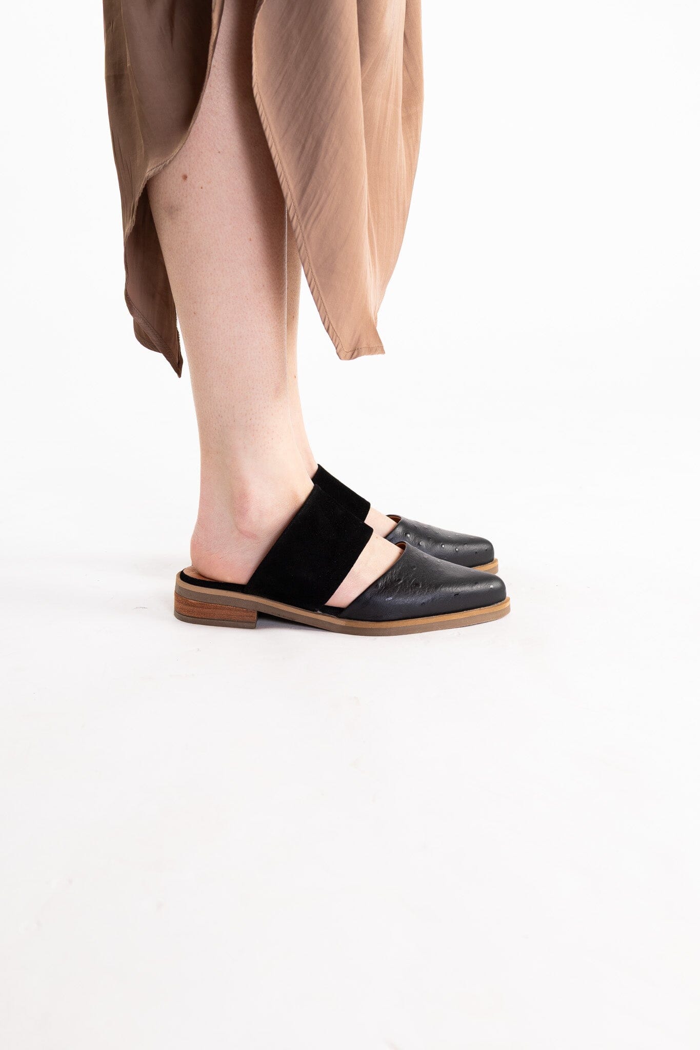 Babucha Mujer / Gaviota Negro BABUCHAS Giani Dafirenze 