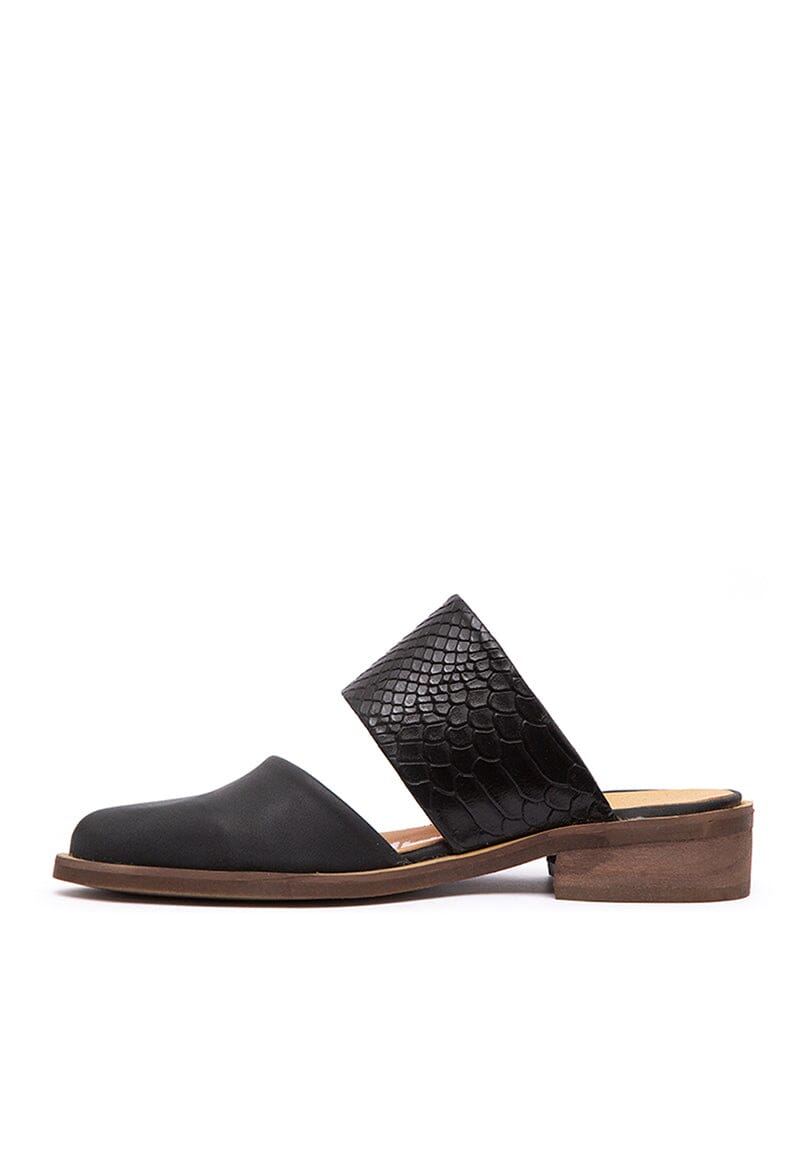 Babucha Mujer / Gaviota Negro BABUCHAS Giani Dafirenze 