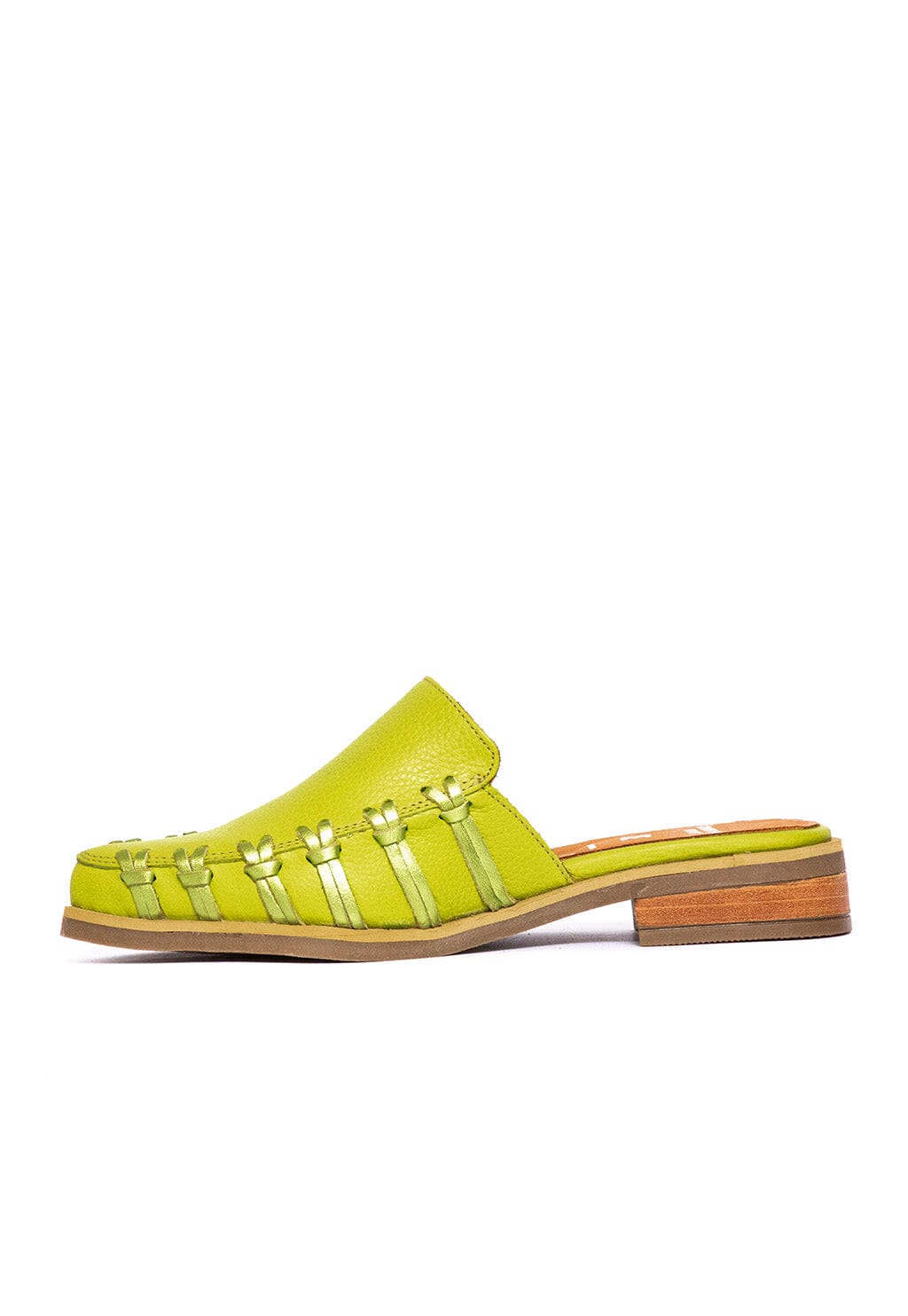 Babucha Mujer / Luna Verde BABUCHAS Giani Dafirenze 