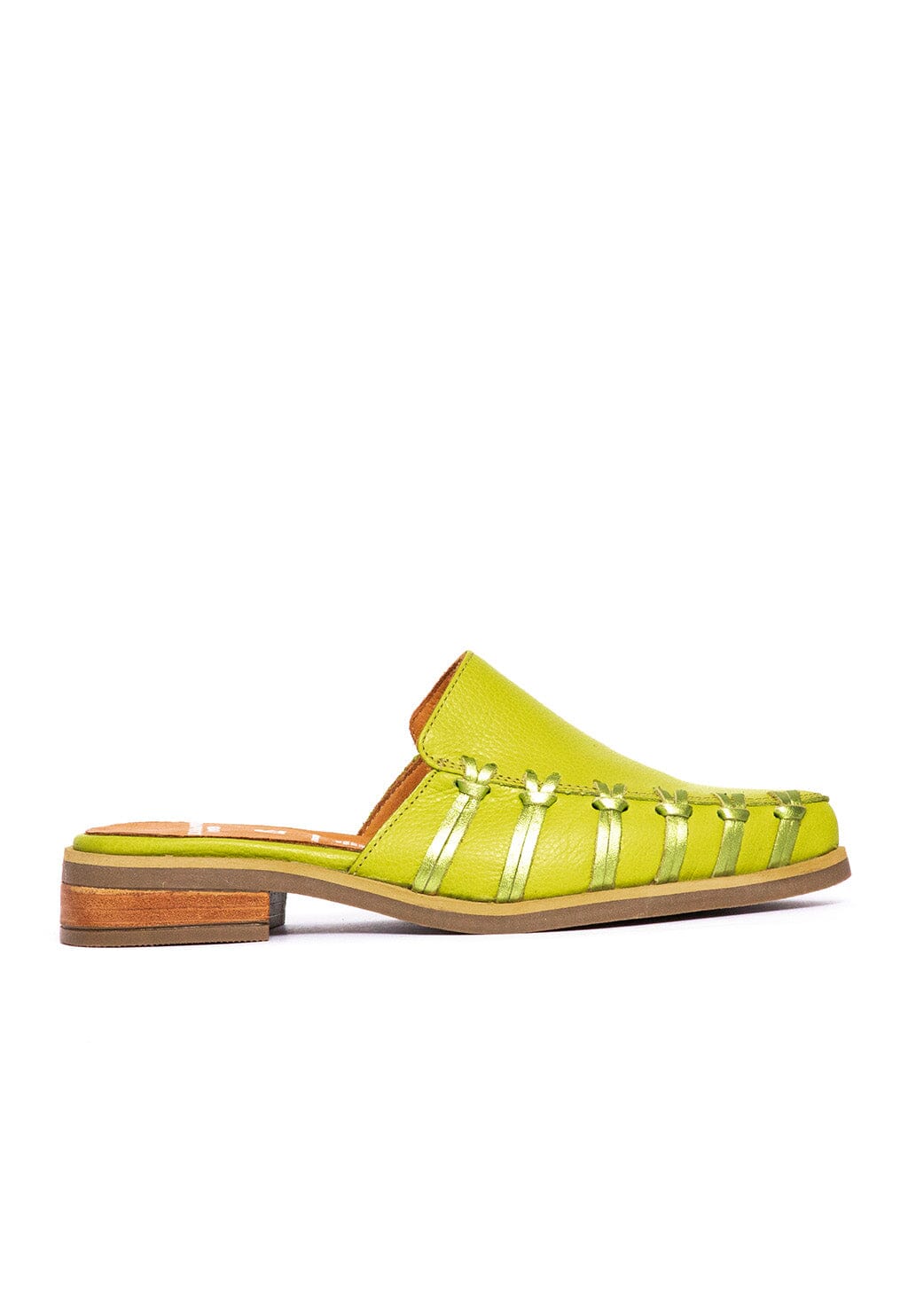 Babucha Mujer / Luna Verde BABUCHAS Giani Dafirenze 