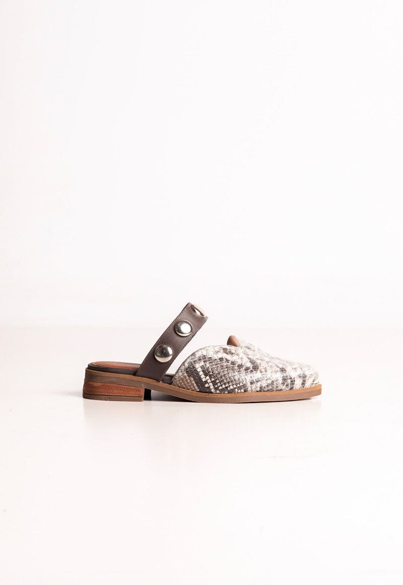 Babucha Mujer / Pibi Gris BABUCHAS Giani Dafirenze 