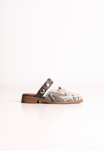 Babucha Mujer / Pibi Gris BABUCHAS Giani Dafirenze 