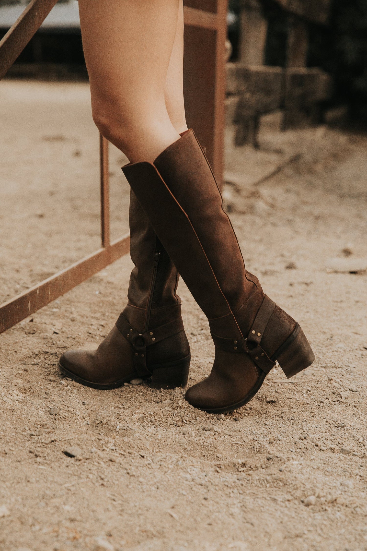 Bota Mujer / Anemona Café BOTAS Giani Dafirenze 