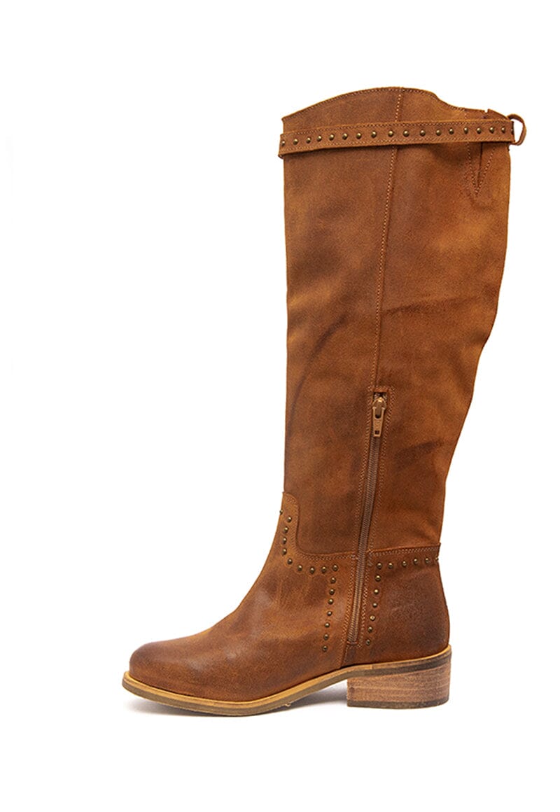 Bota Mujer / Carmen Camel BOTAS Giani Dafirenze 