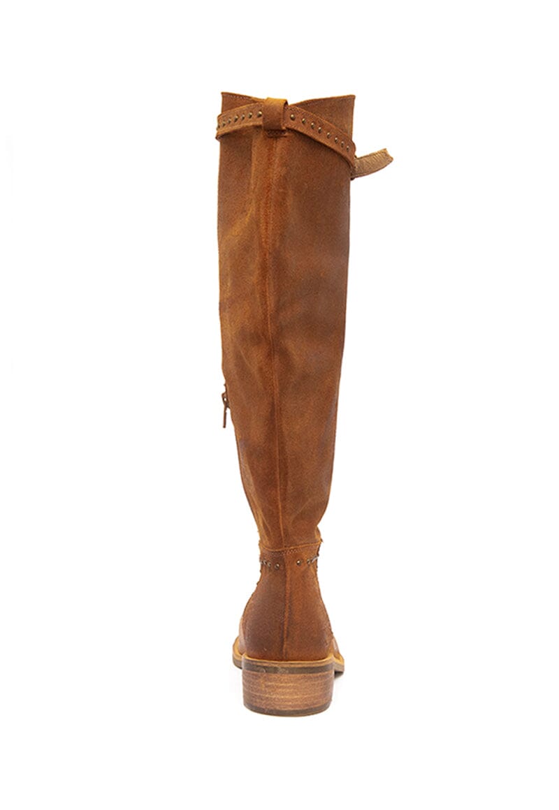 Bota Mujer / Carmen Camel BOTAS Giani Dafirenze 