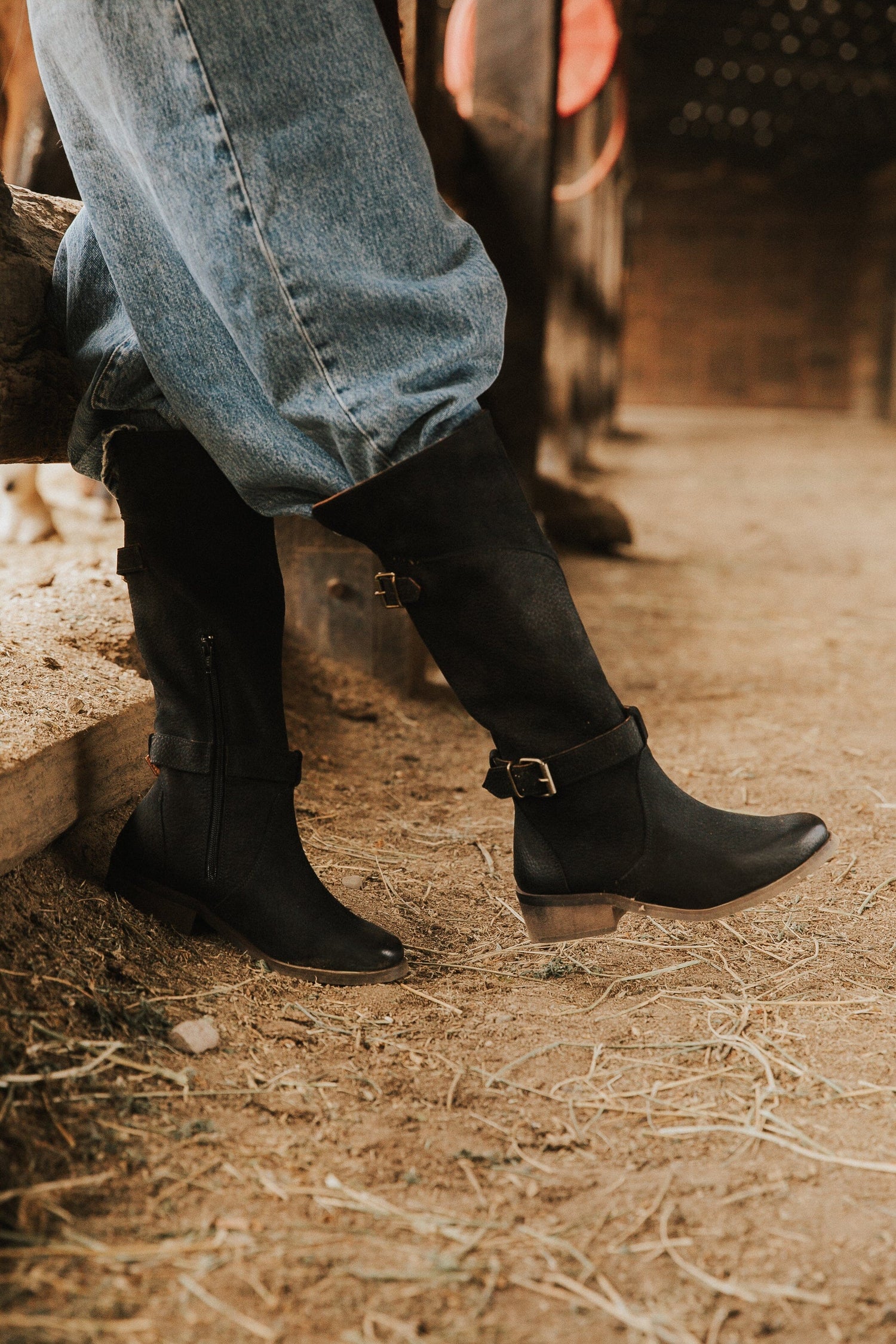 Bota Mujer / Harriet Negro BOTAS Giani Dafirenze 