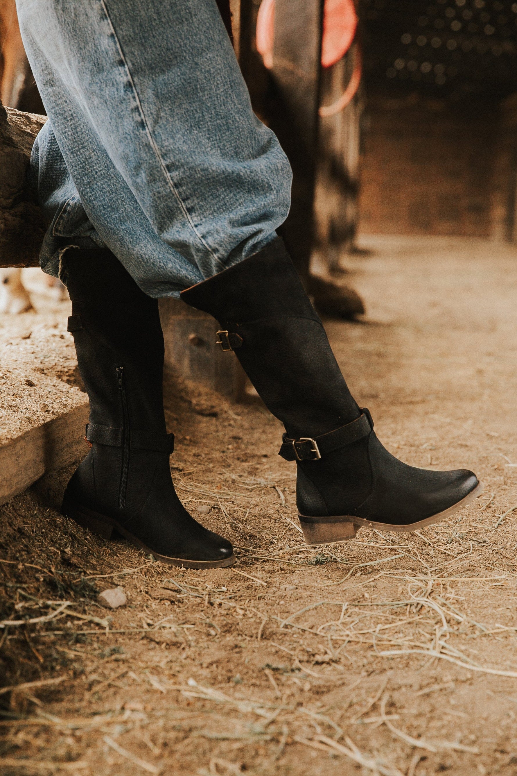 Bota Mujer / Harriet Negro BOTAS Giani Dafirenze 