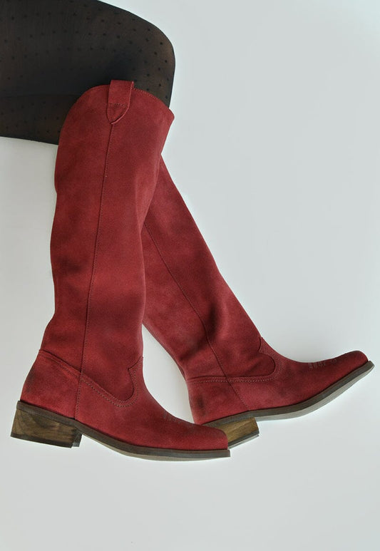 Bota Mujer / Pudu Burdeo BOTAS Giani Dafirenze