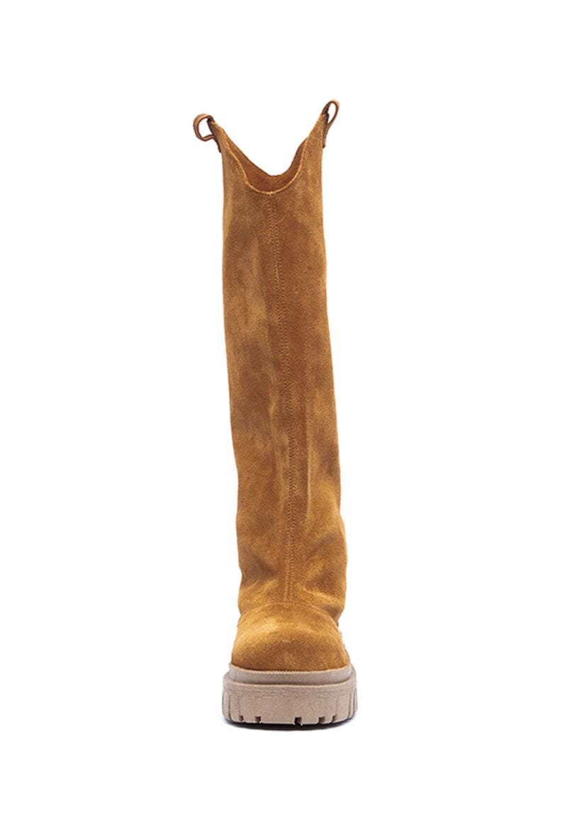 Botas AMBER C2 BOTAS Giani Dafirenze 