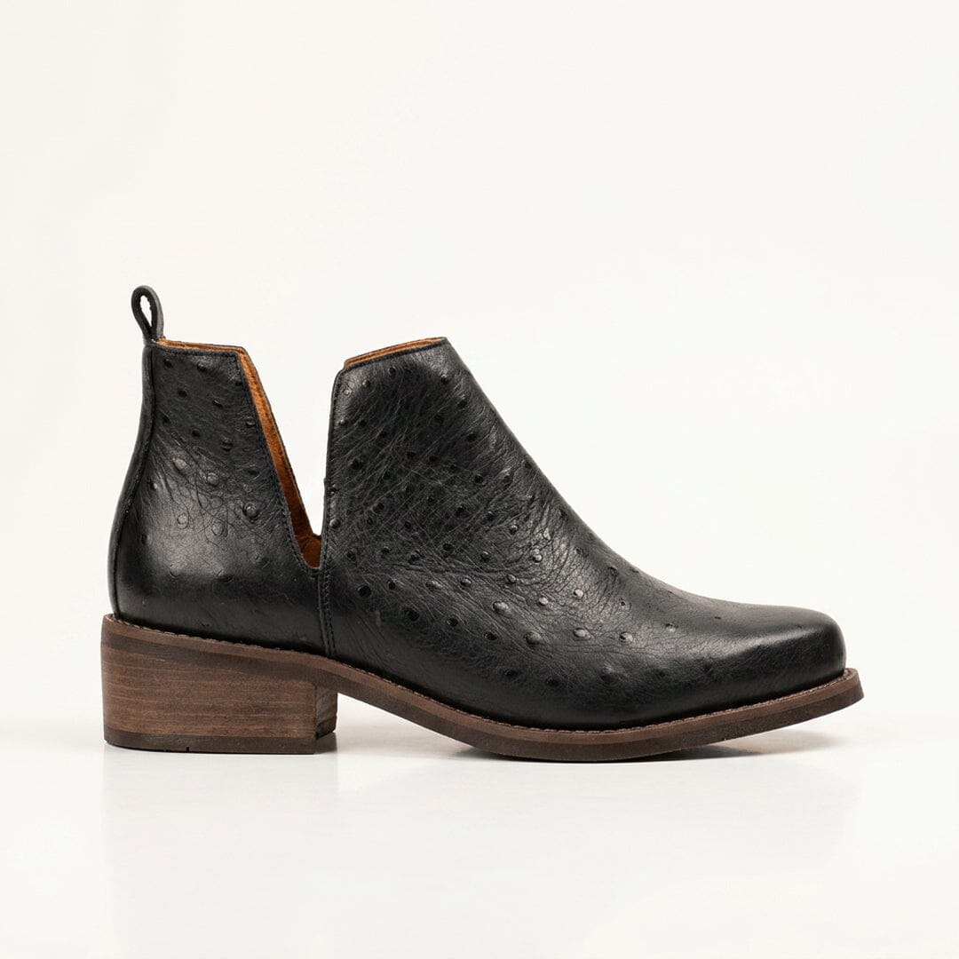Botin Mujer / Chirigue Negro BOTINES Giani Dafirenze 