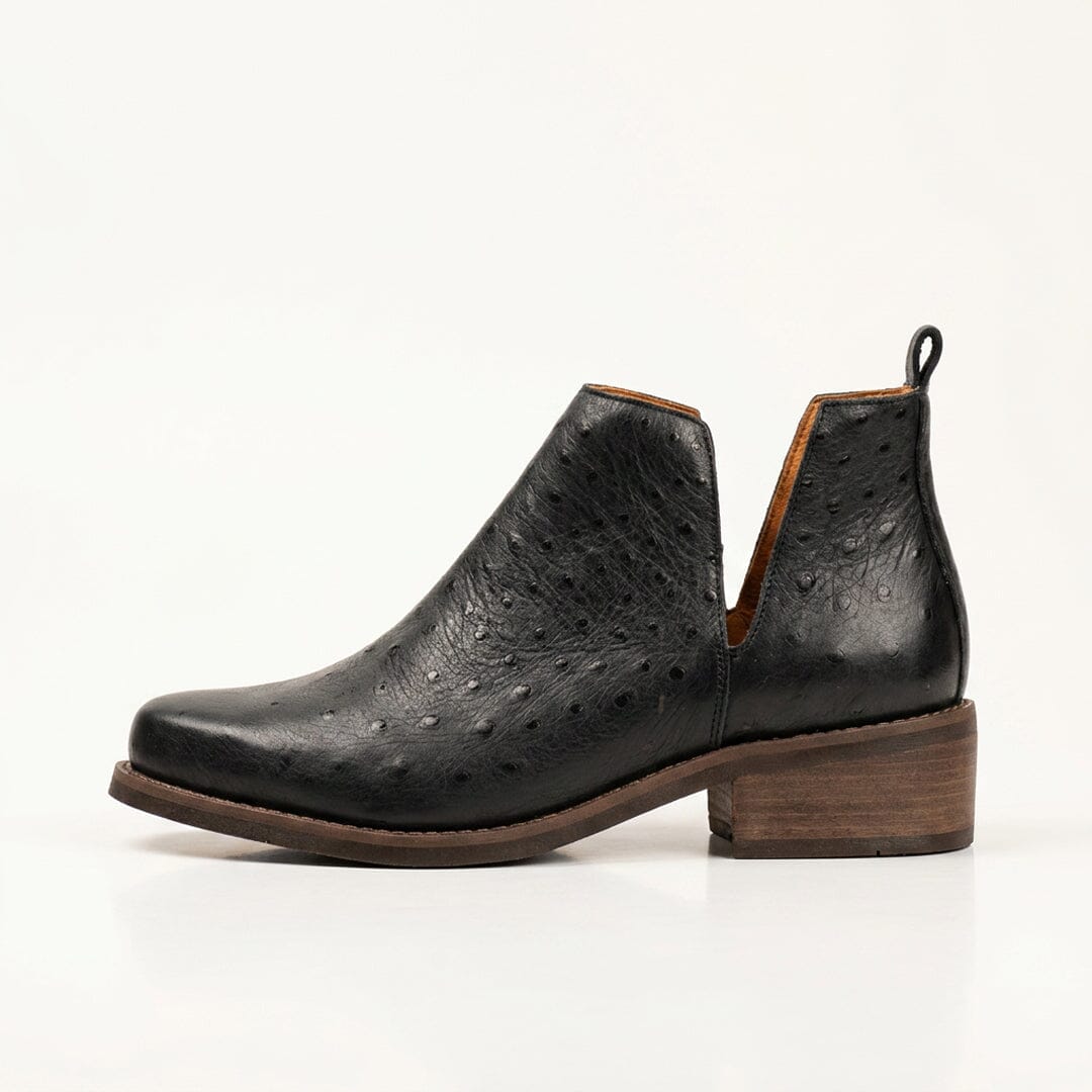 Botin Mujer / Chirigue Negro BOTINES Giani Dafirenze 