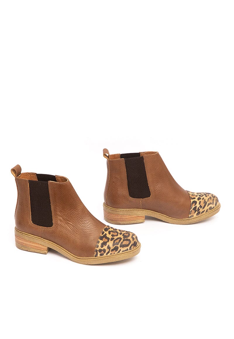 Botin Mujer / Cisne Café BOTINES Giani Dafirenze 