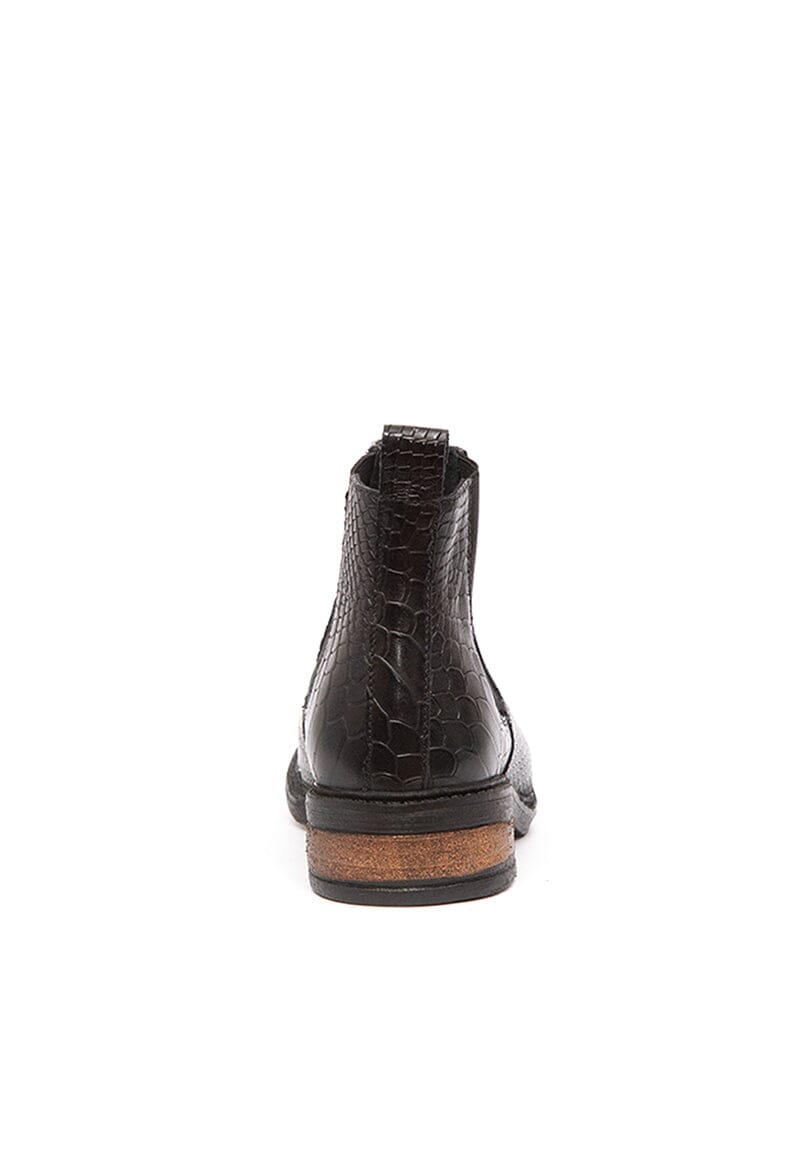 Botin Mujer / Cisne Negro BOTINES Giani Dafirenze 