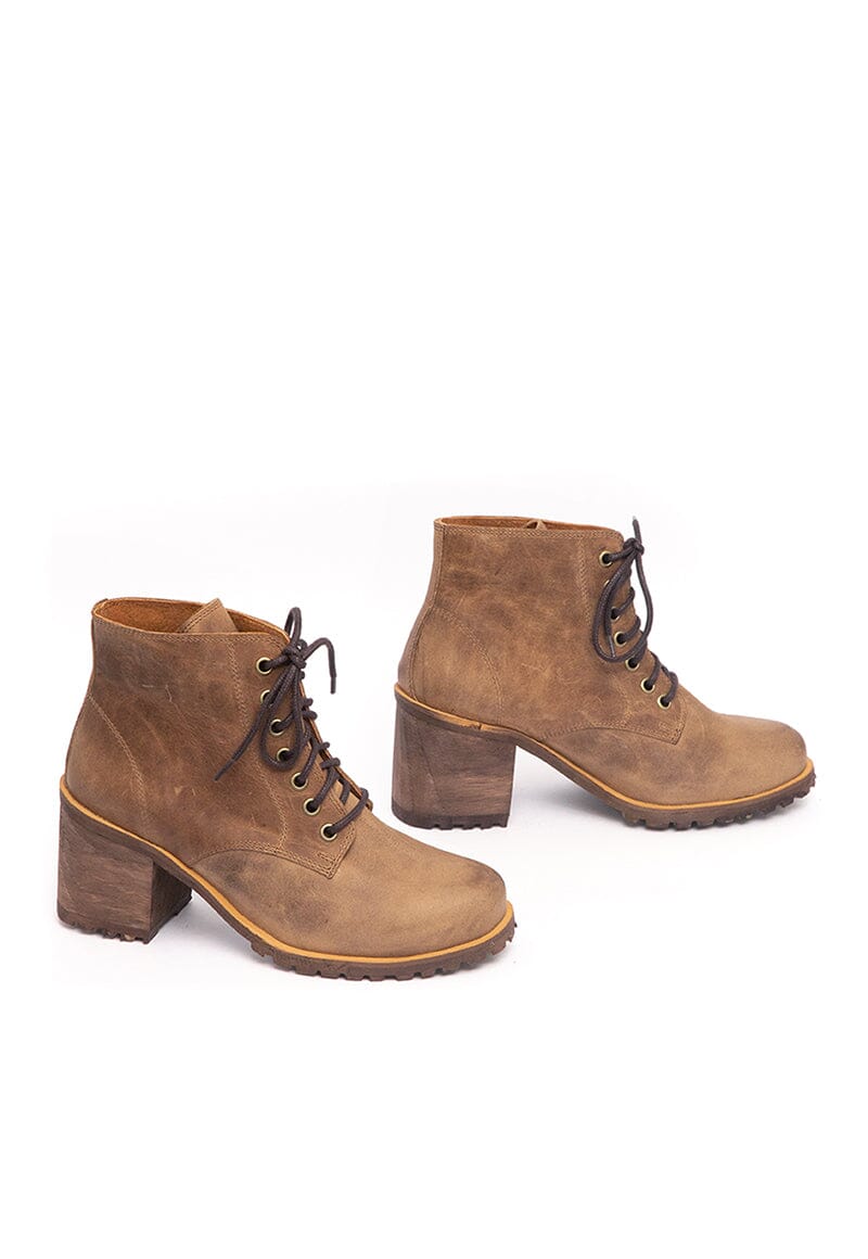 Botin Mujer / Maoche Café BOTINES Giani Dafirenze 