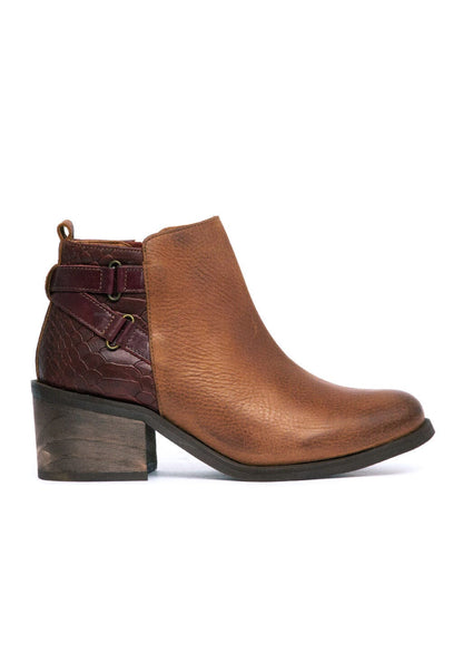 Botin Mujer / Olga Café BOTINES Giani Dafirenze 