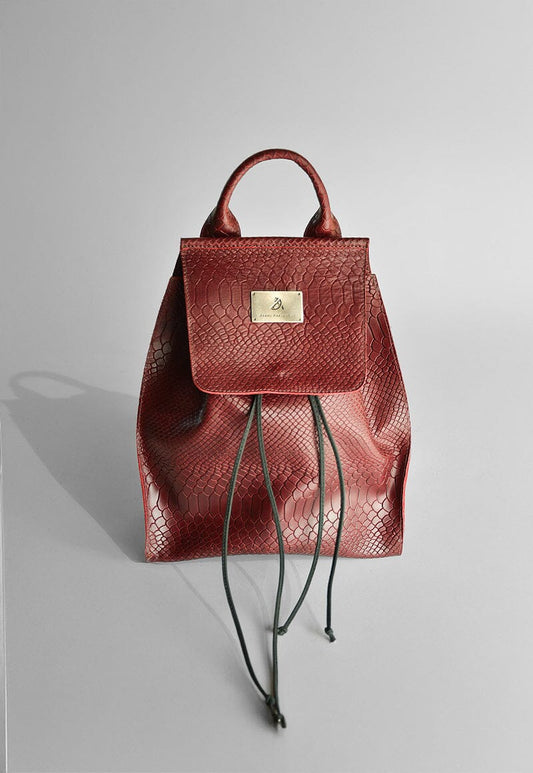 Mochila Mujer / Sauce Burdeo MOCHILAS Giani Dafirenze