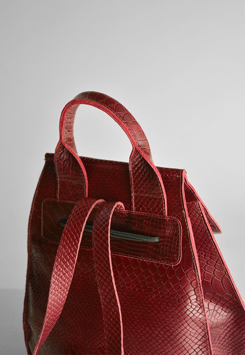 Mochila Mujer / Sauce Burdeo MOCHILAS Giani Dafirenze 