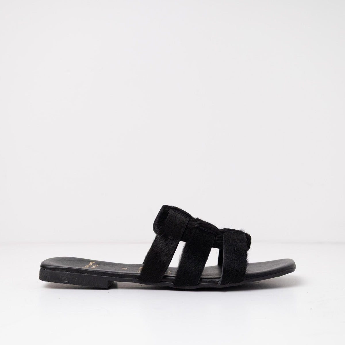 Sandalia Mujer / Aliso Negro SANDALIAS Giani Dafirenze 