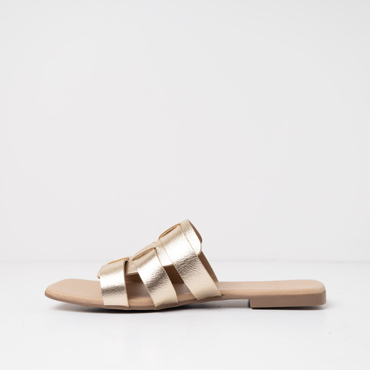 Sandalia Mujer / Aliso Niquel SANDALIAS Giani Dafirenze 