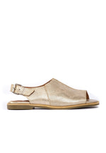 Sandalia Mujer / Bruma Niquel SANDALIAS Giani Dafirenze 