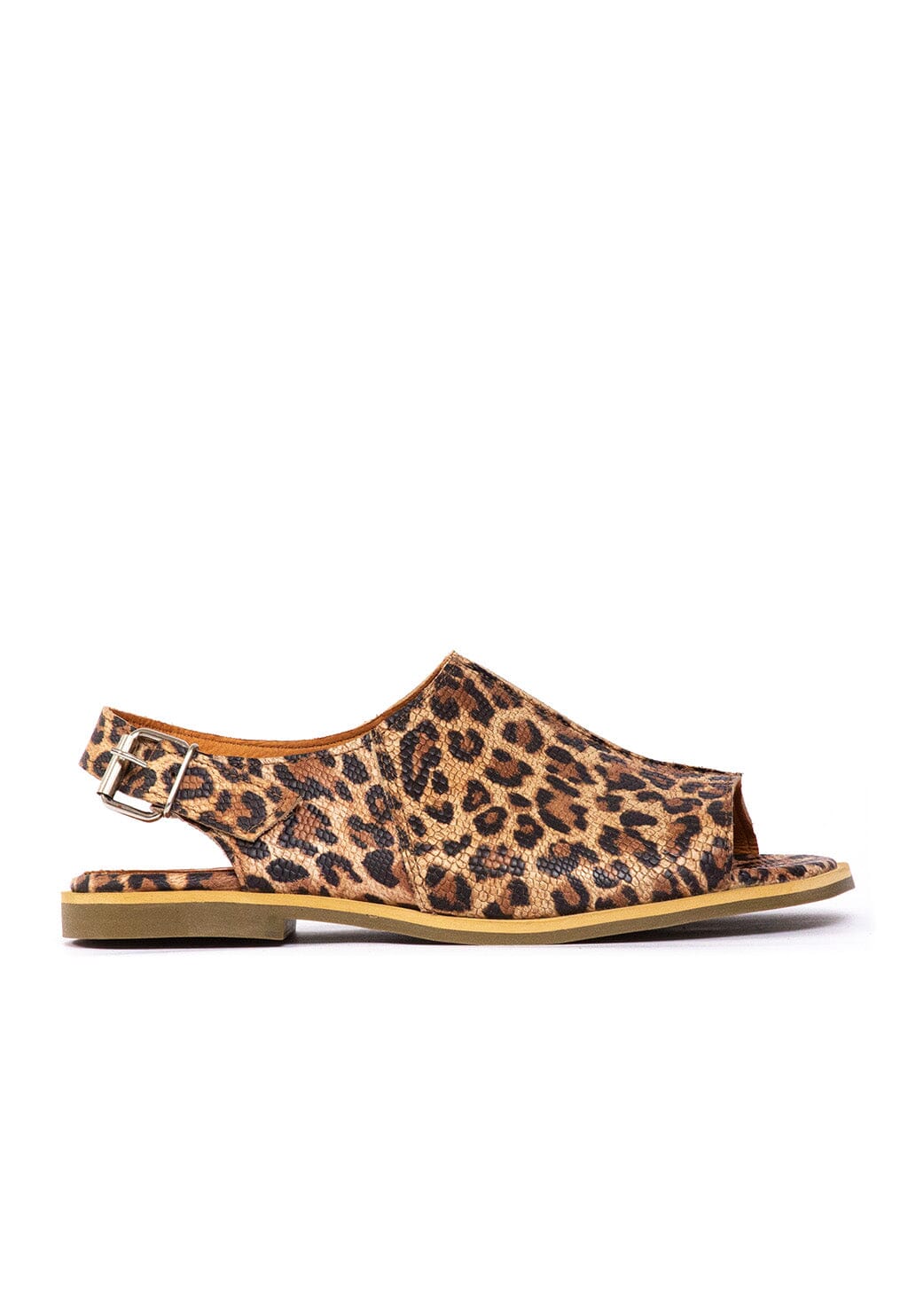 Sandalia Mujer / Bruma Print SANDALIAS Giani Dafirenze 