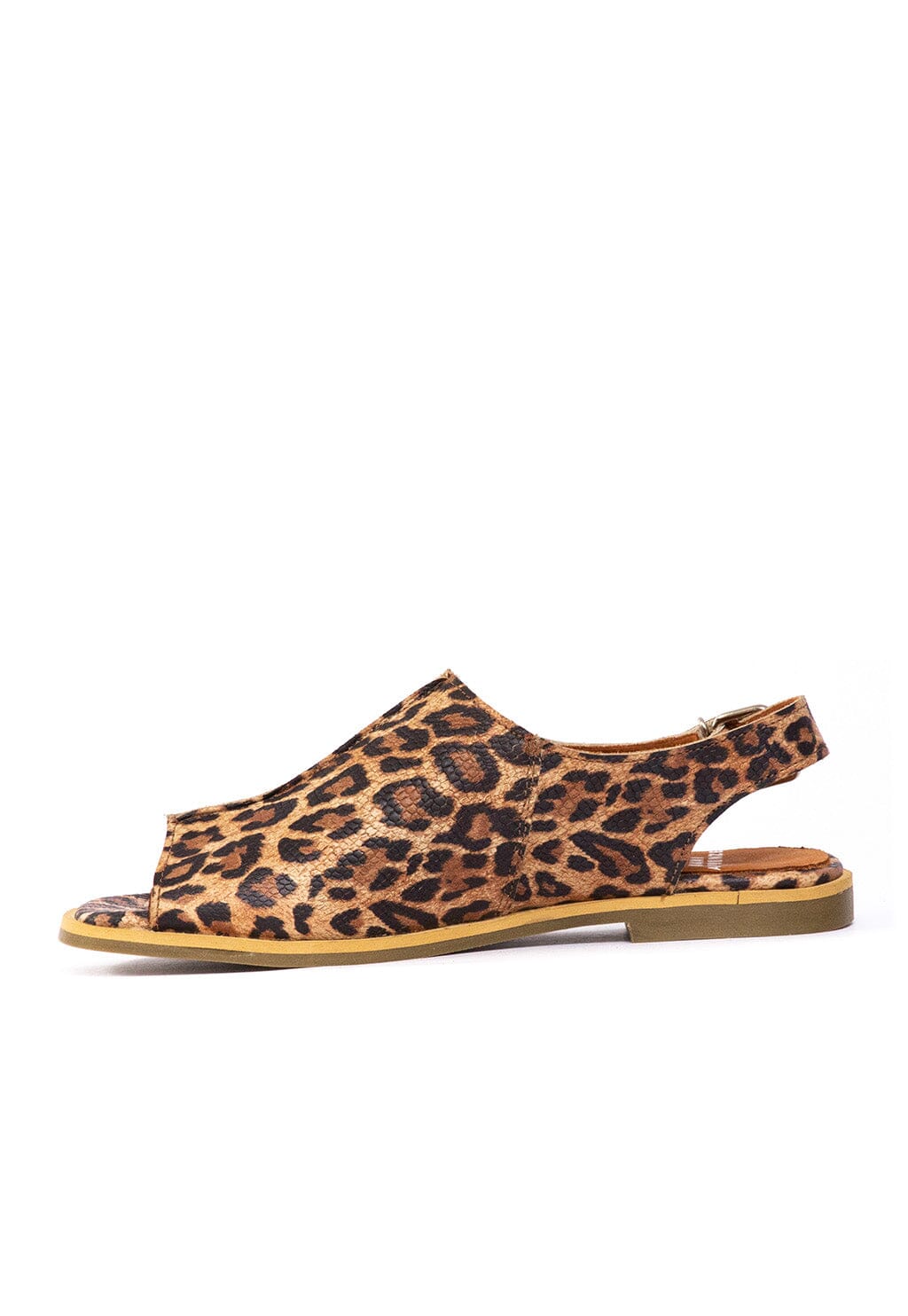 Sandalia Mujer / Bruma Print SANDALIAS Giani Dafirenze 