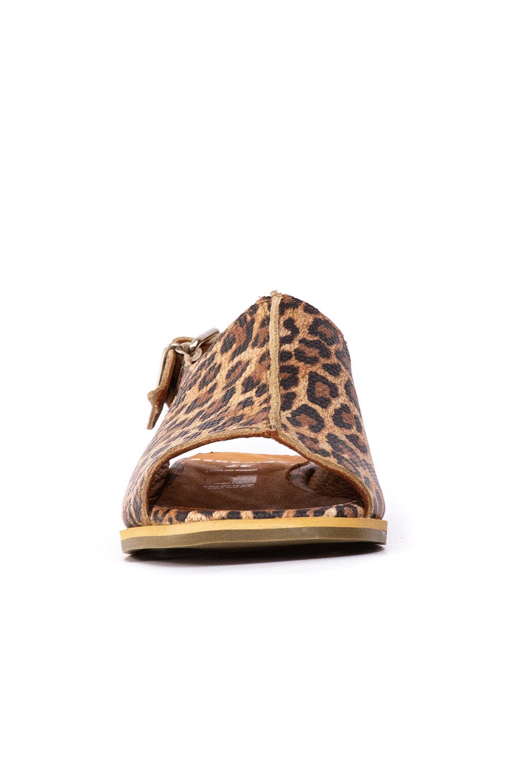 Sandalia Mujer / Bruma Print SANDALIAS Giani Dafirenze 