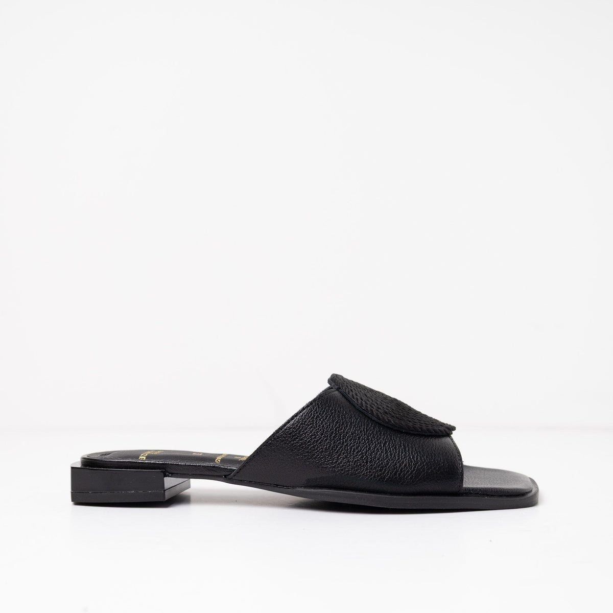 Sandalia Mujer / Claro Negro SANDALIAS Giani Dafirenze 