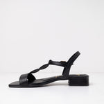 Sandalia Mujer / Coiron Negro SANDALIAS Giani Dafirenze 
