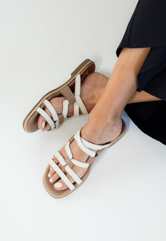 Sandalia Mujer / Costa Beige Cafe SANDALIAS Giani Dafirenze 