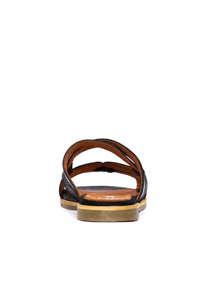 Sandalia Mujer / Costa Negro SANDALIAS Giani Dafirenze 