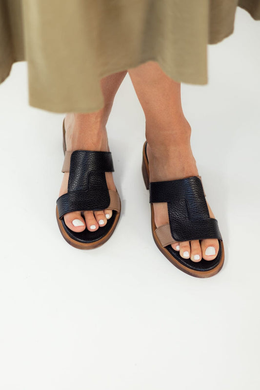Sandalia Mujer / Dolce Negro Café SANDALIAS Giani Dafirenze 