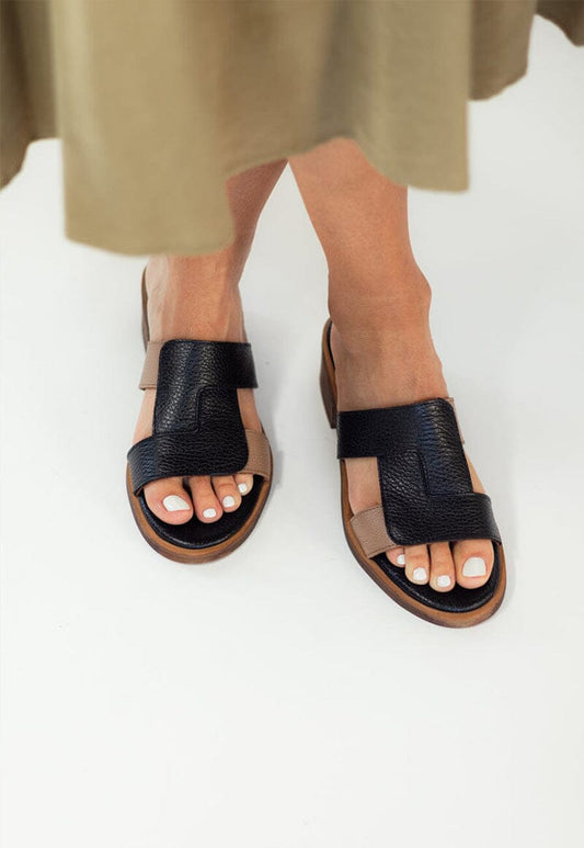 Sandalia Mujer / Dolce Negro Café SANDALIAS Giani Dafirenze 