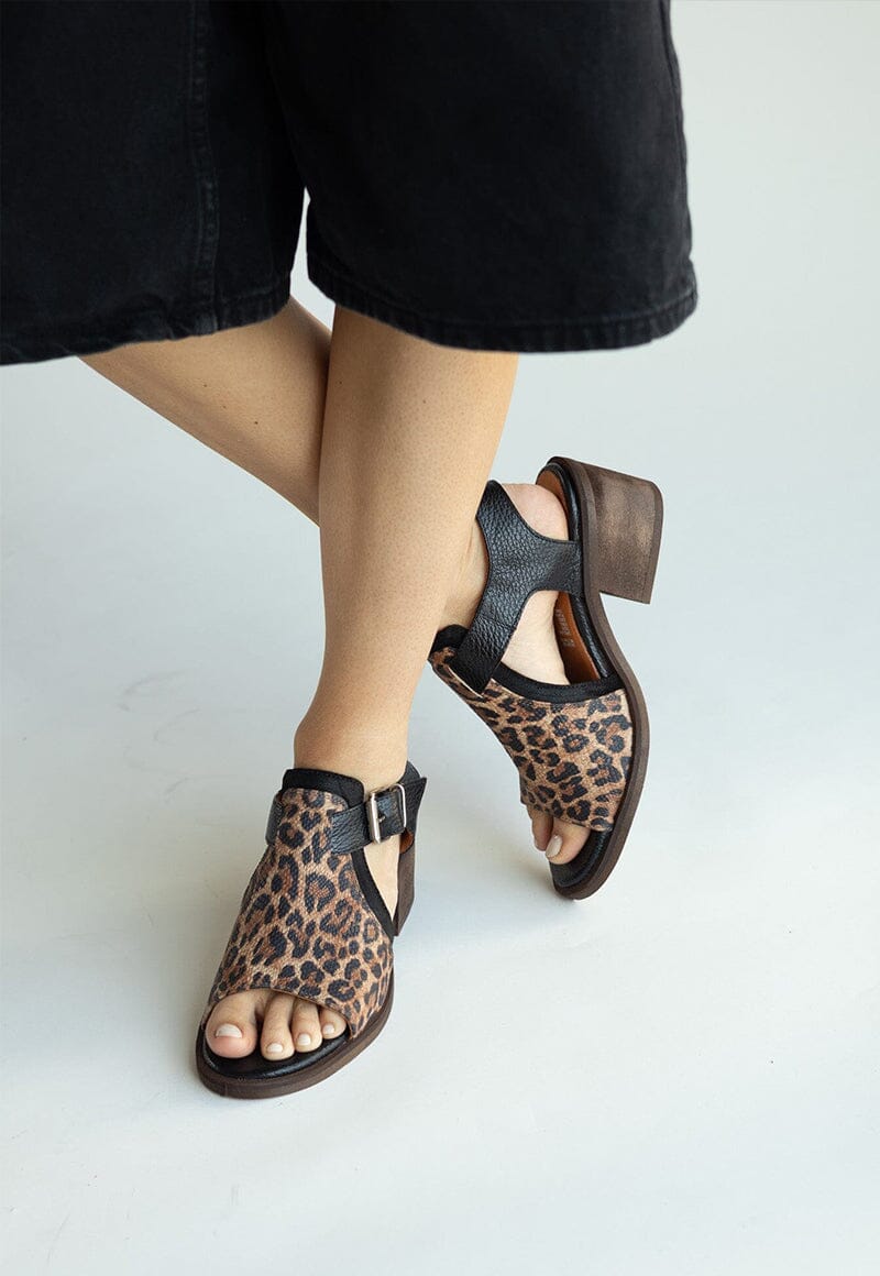 Sandalia Mujer / Guanay Negro Print SANDALIAS Giani Dafirenze 