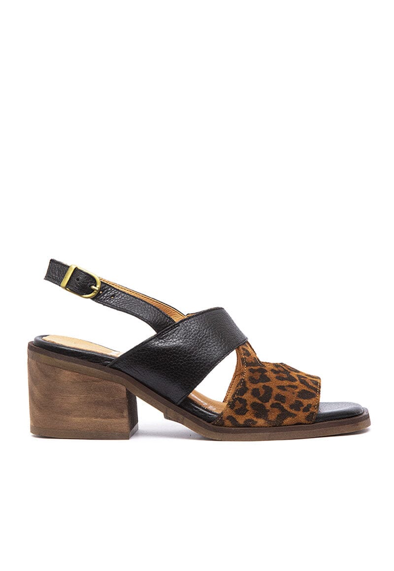 Sandalia Mujer / Ipanema Negro SANDALIAS Giani Dafirenze 