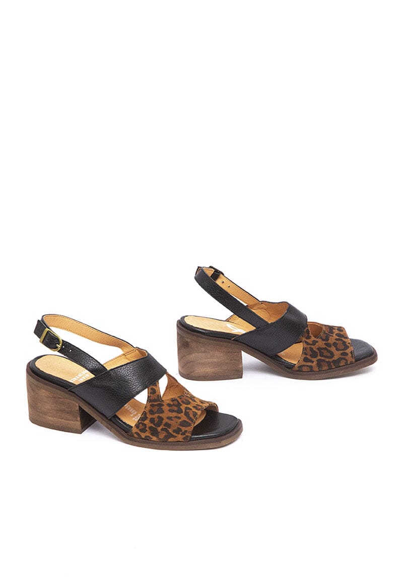 Sandalia Mujer / Ipanema Negro SANDALIAS Giani Dafirenze 