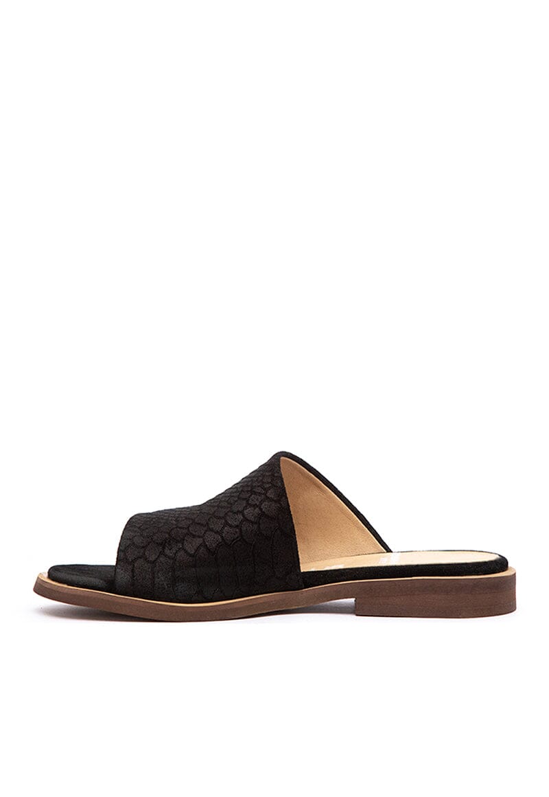 Sandalia Mujer / Lile Negro SANDALIAS Giani Dafirenze 