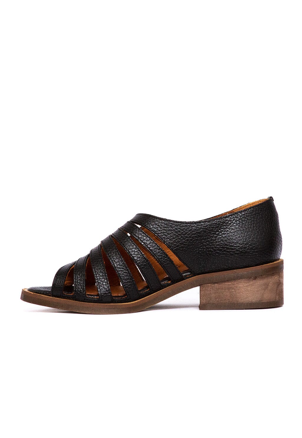 Sandalia Mujer / Mielero Negro SANDALIAS Giani Dafirenze 