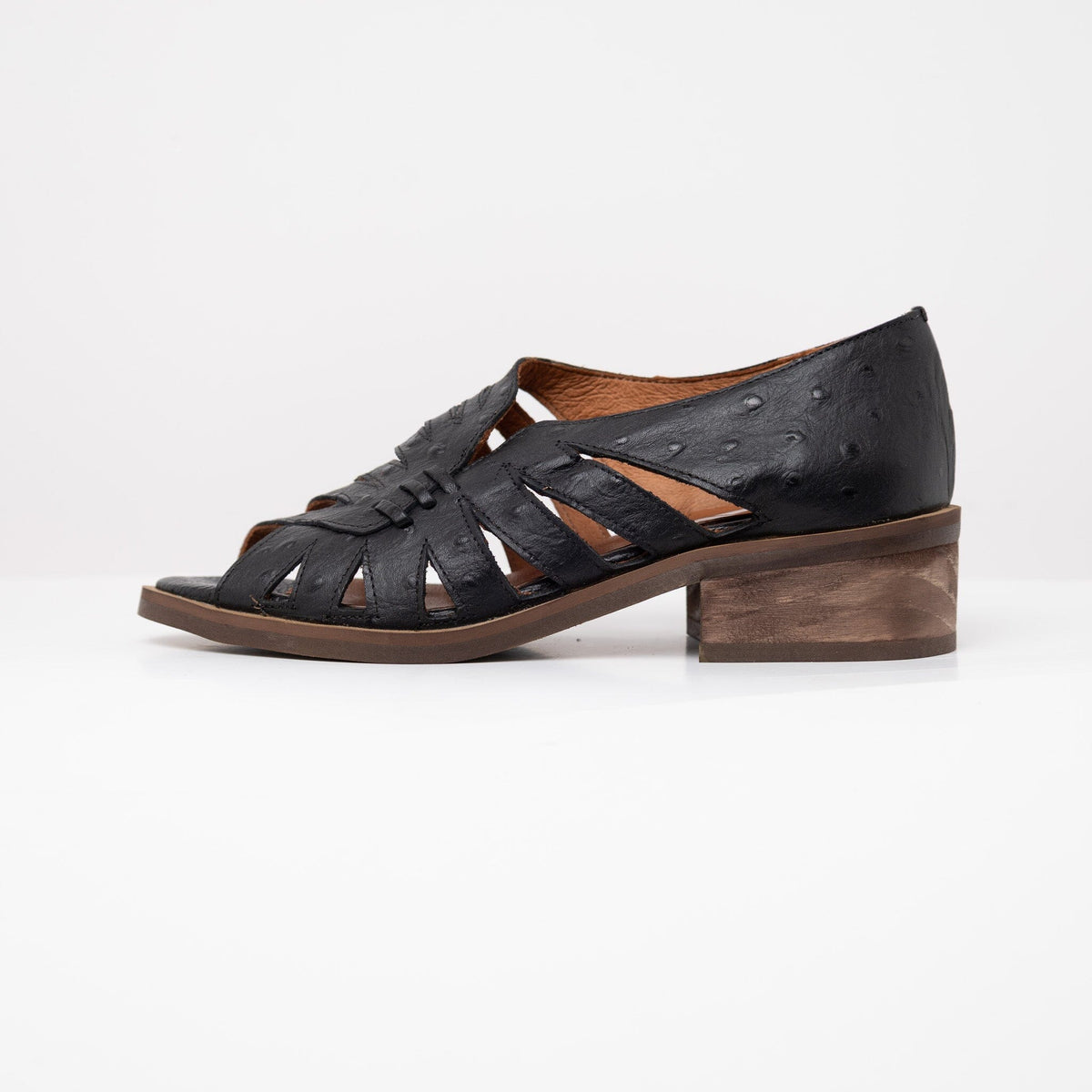 Sandalia Mujer / Mielero Negro SANDALIAS Giani Dafirenze 
